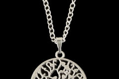 DSC_3726AP_20190718_26520 DSC_3726AP_20190718_26520