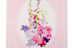 Akanjee-photography-greeting-cards-product-photos-13