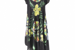 DSC_1681_20181120_1972 DSC_1681_20181120_1972