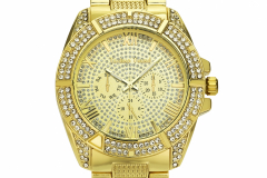 DSC_1650_20181116_1945