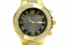 DSC_1651_20181116_1946